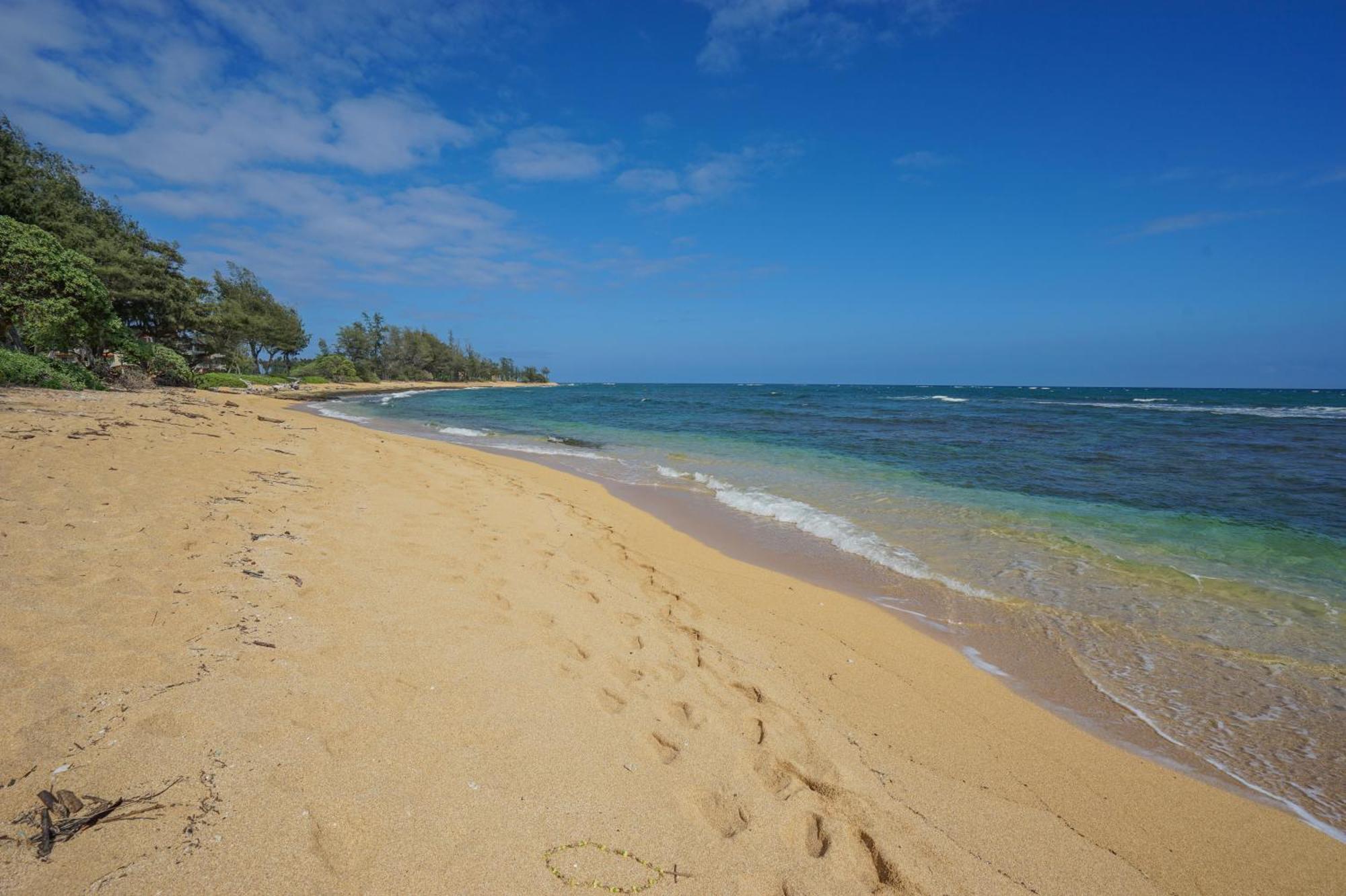 Seaview At The Islander On The Beach Oceanview Studio 201 卡帕阿 外观 照片