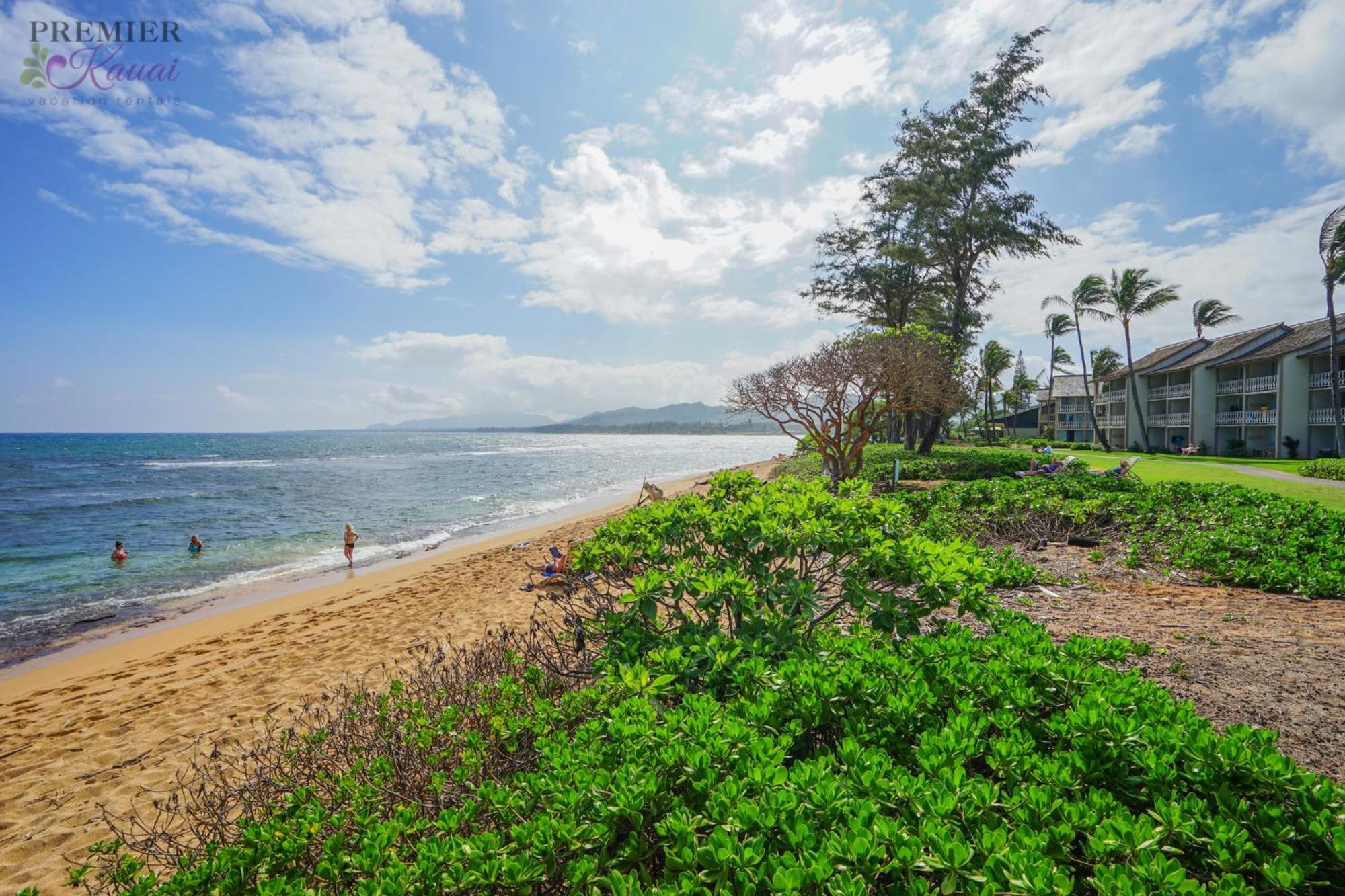 Seaview At The Islander On The Beach Oceanview Studio 201 卡帕阿 外观 照片